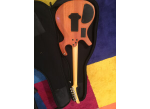 Parker Guitars P-44V (96020)
