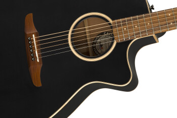 Fender Newporter Special : California Series Newporter Special   Matte Black 3