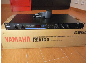 Yamaha REV100 (33828)