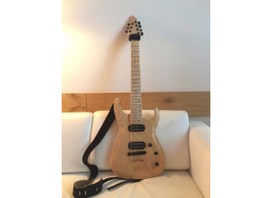 Custom Design Guitars Narcisse7 (52799)