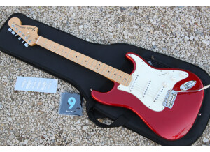 Fender American Special Stratocaster [2010-current] (63498)