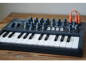 Arturia MicroBrute (49021)