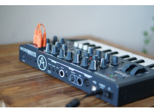 Arturia MicroBrute (44067)
