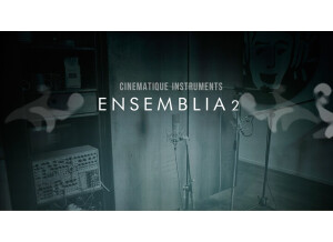 Cinematique Instruments Ensemblia 2 (28871)