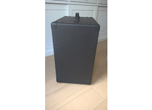 Peavey Basic 112 (45305)