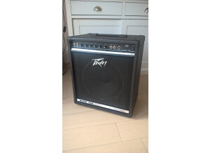 Peavey Basic 112