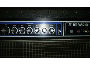 Roland StudioBass 100 (97909)