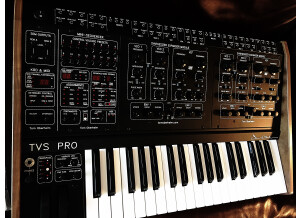 Oberheim Two Voice Pro (96478)