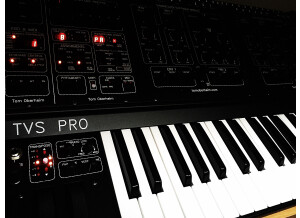 Oberheim Two Voice Pro (53464)