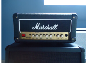 Marshall 1990s DSL1H (59713)