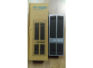 FV500H + boîte