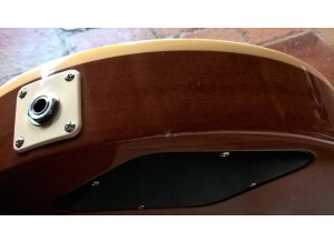 Gibson Les Paul Reissue 52 Goldtop R2 (54157)