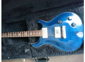 PRS Custom 22 (40790)