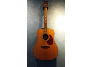 Cort Earth 60 (8135)