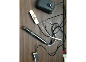 L.R. Baggs Anthem (22111)