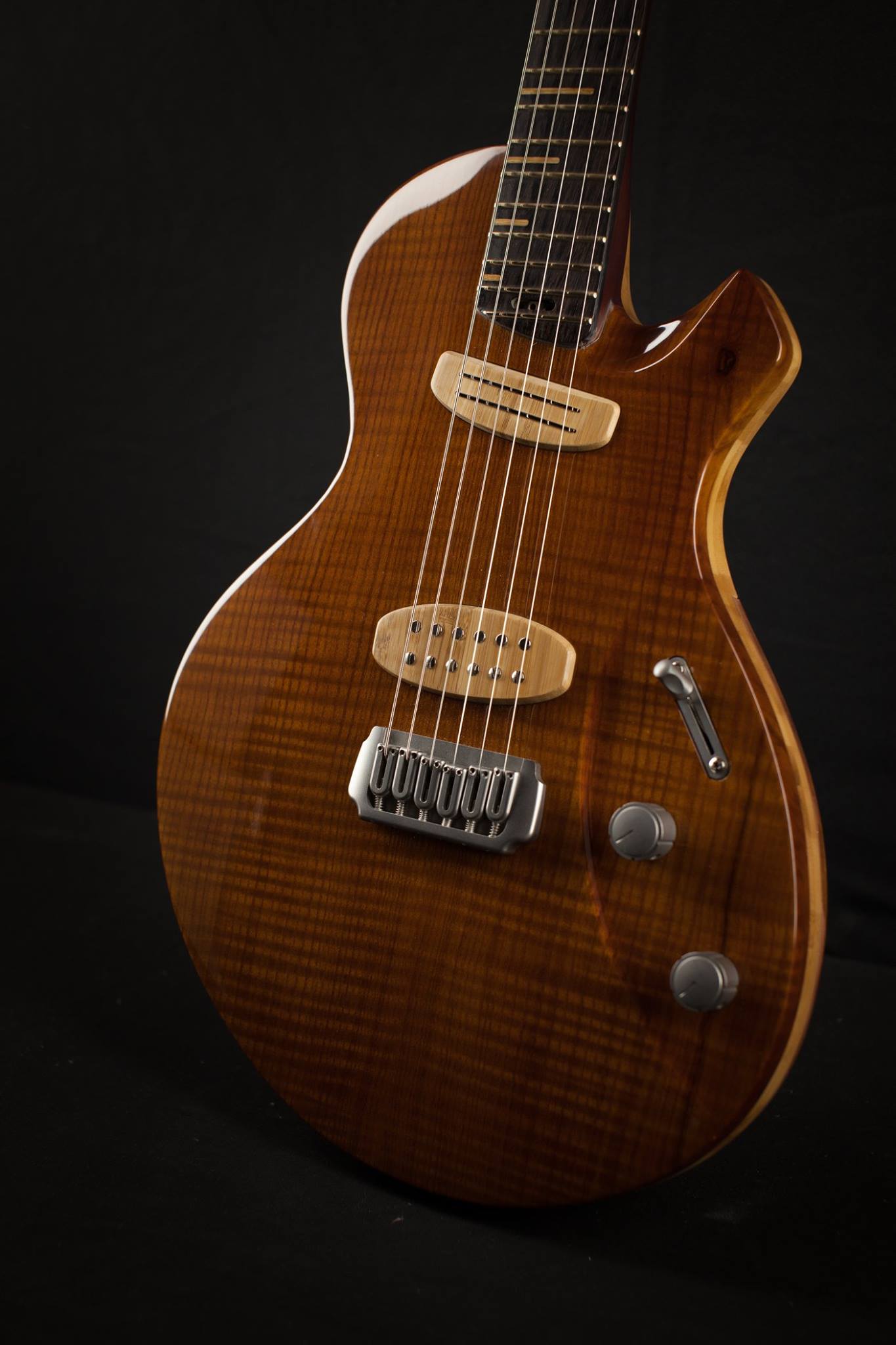 Alquier Guitars Cosmic Dust : 27173900 1252910794810420 1047882425736412629 o