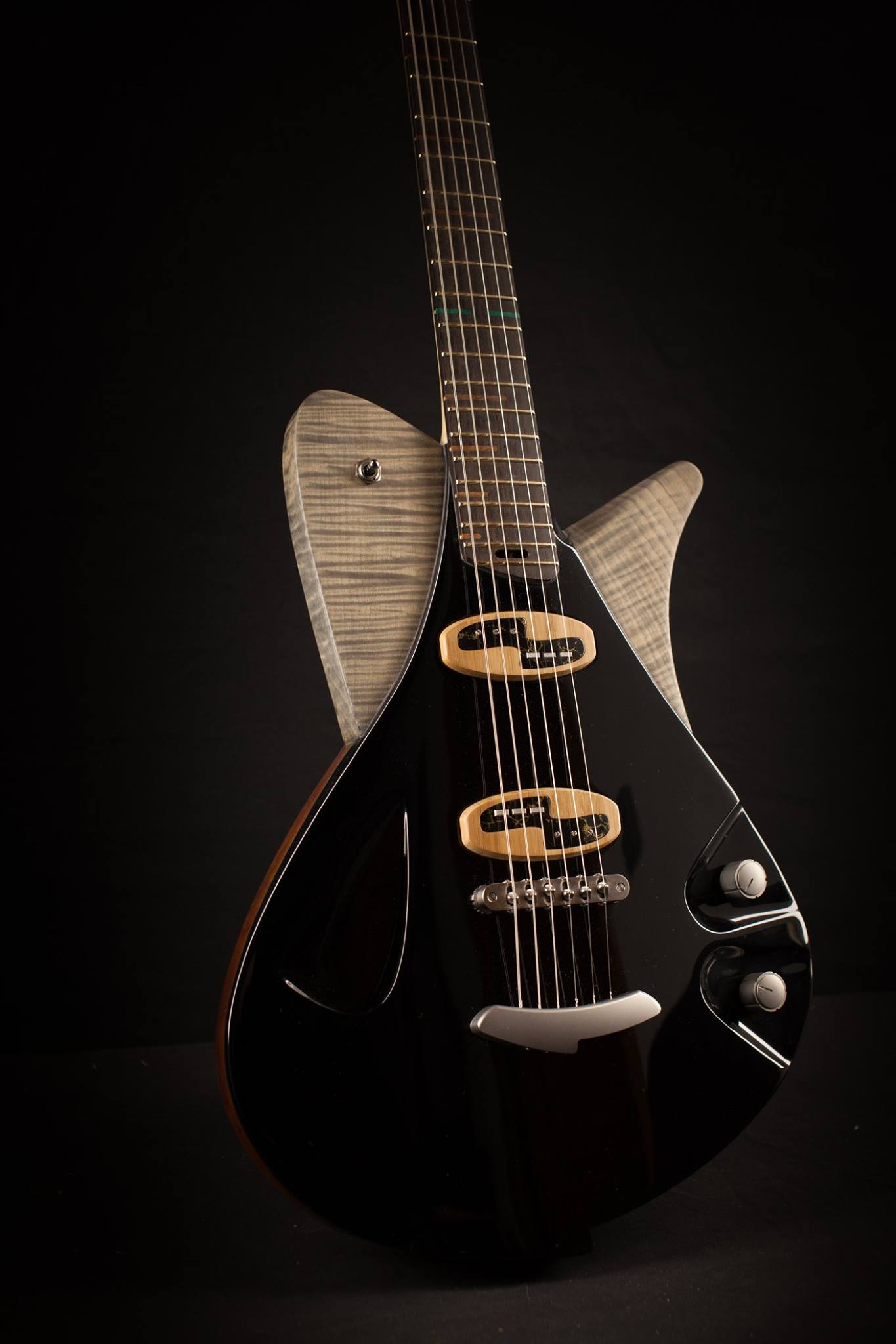 Alquier Guitars Space Vow : 27173398 1252910071477159 5131297955404705894 o