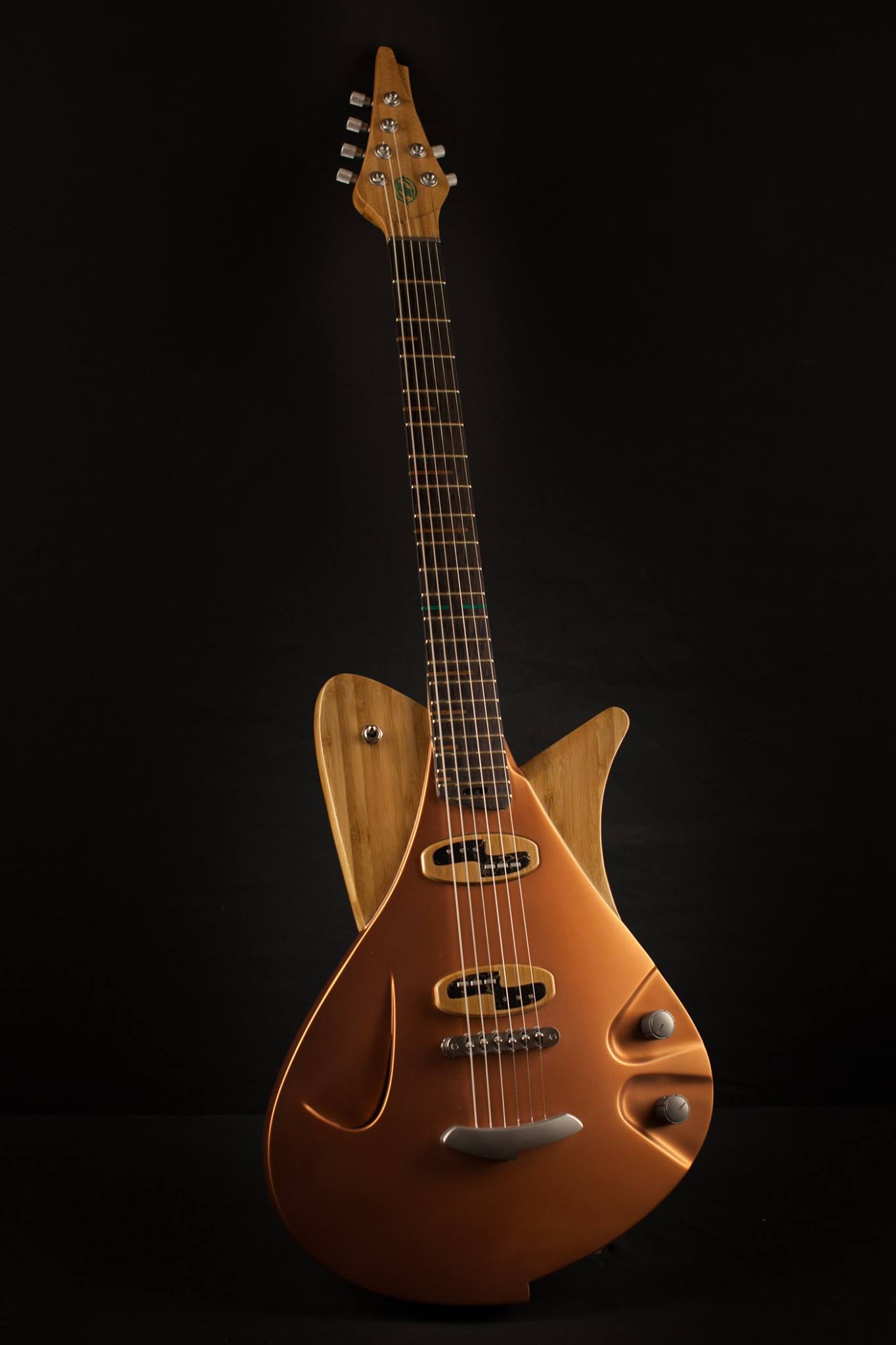 Alquier Guitars Space Vow : 27164960 1252910204810479 7841813328865442473 o