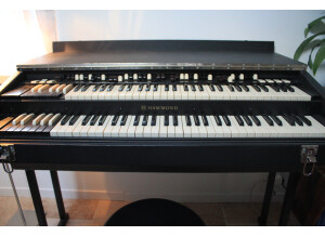 Hammond B3  Portable Bertram (6834)