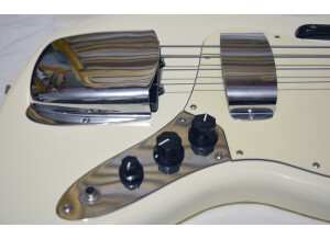 Fender Standard Jazz Bass [2009-Current] (89064)