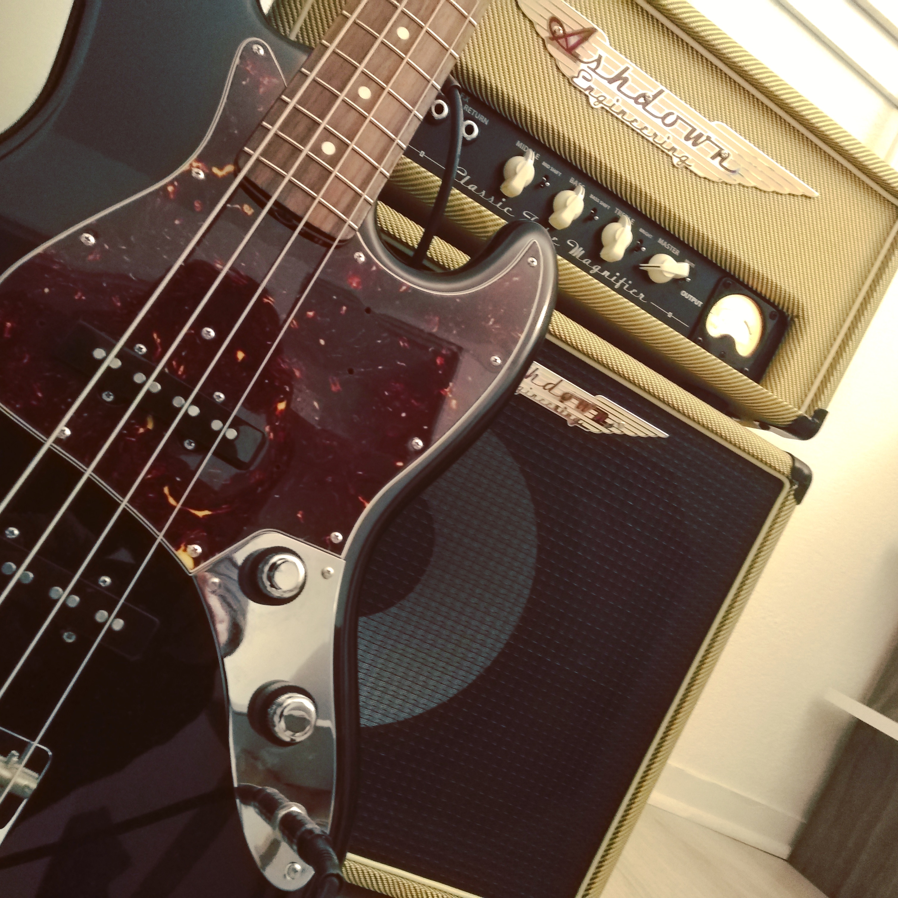 Ashdown CTM-30 20th Anniversary