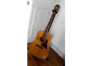 Gibson Songbird Deluxe (86936)