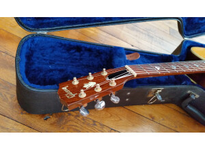 Gibson Songbird Deluxe (79122)