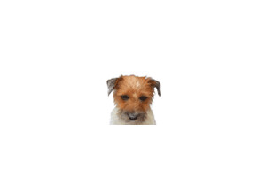 JRT slurp