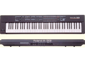 Roland A-33 (7407)