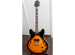 Sx Guitars GG6 Custom Semi-Hollow (78010)
