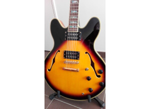 Sx Guitars GG6 Custom Semi-Hollow (40338)