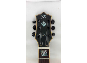 Sx Guitars GG6 Custom Semi-Hollow (31172)