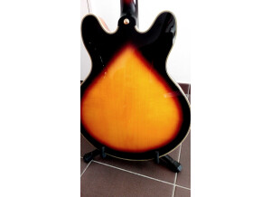 Sx Guitars GG6 Custom Semi-Hollow (24907)