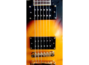 Sx Guitars GG6 Custom Semi-Hollow (95684)