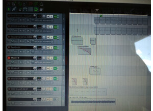 Cockos Reaper 5 (62106)