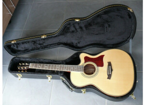 Tanglewood TW-170AS