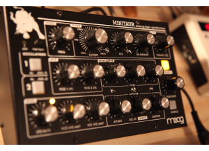 Moog Music Minitaur (96154)