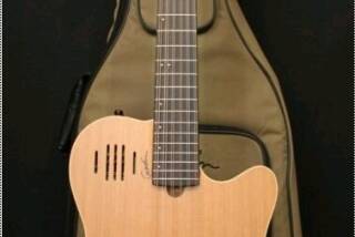 Godin A12