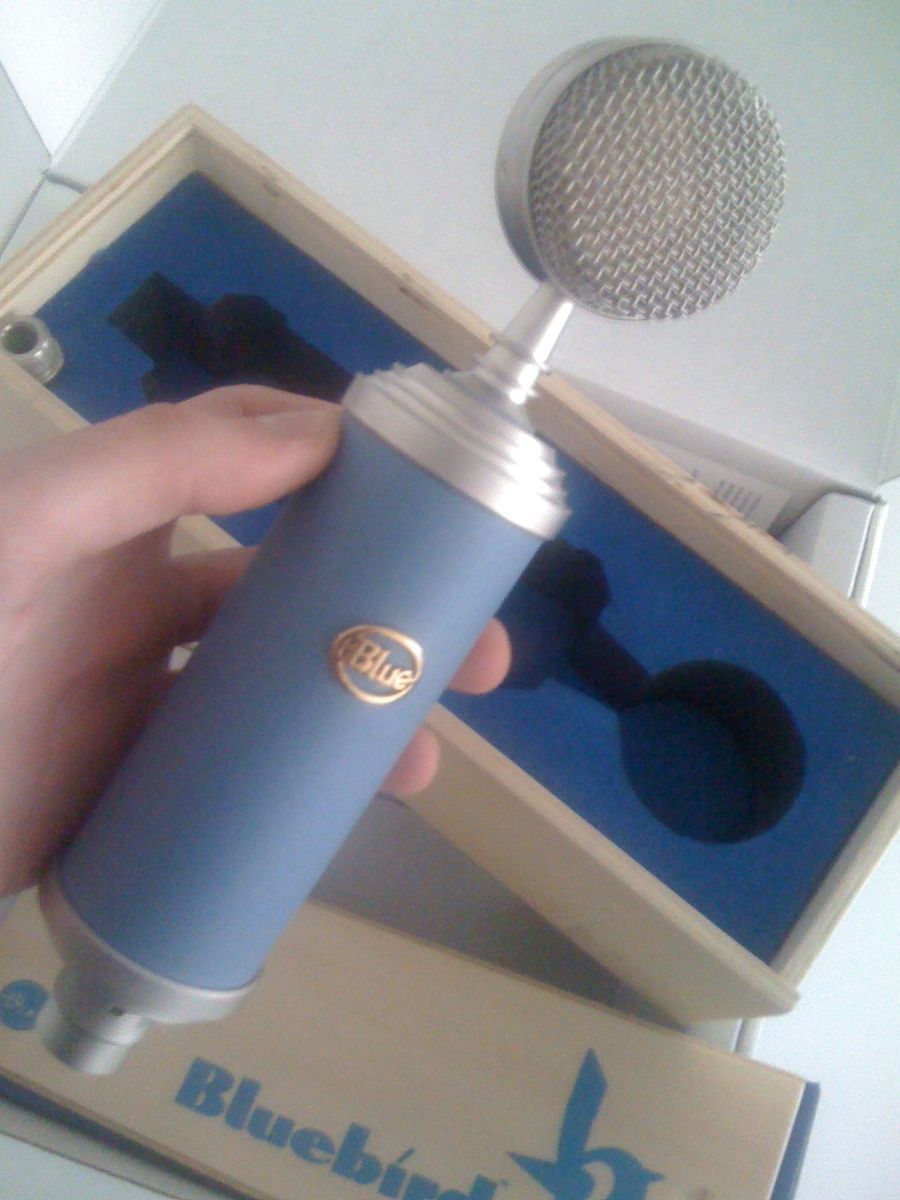 Blue Microphones Bluebird