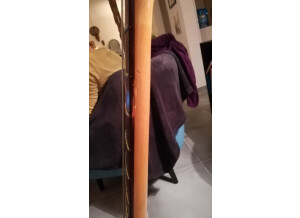 Fender Deluxe Toronado (82739)