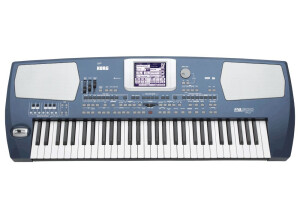 Korg Pa500 (41589)