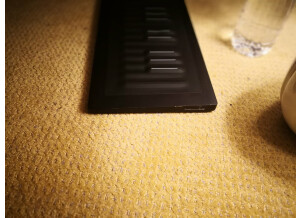ROLI Seaboard Rise 25 (53474)