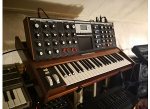 Moog Music Minimoog Voyager Performer Edition (41583)