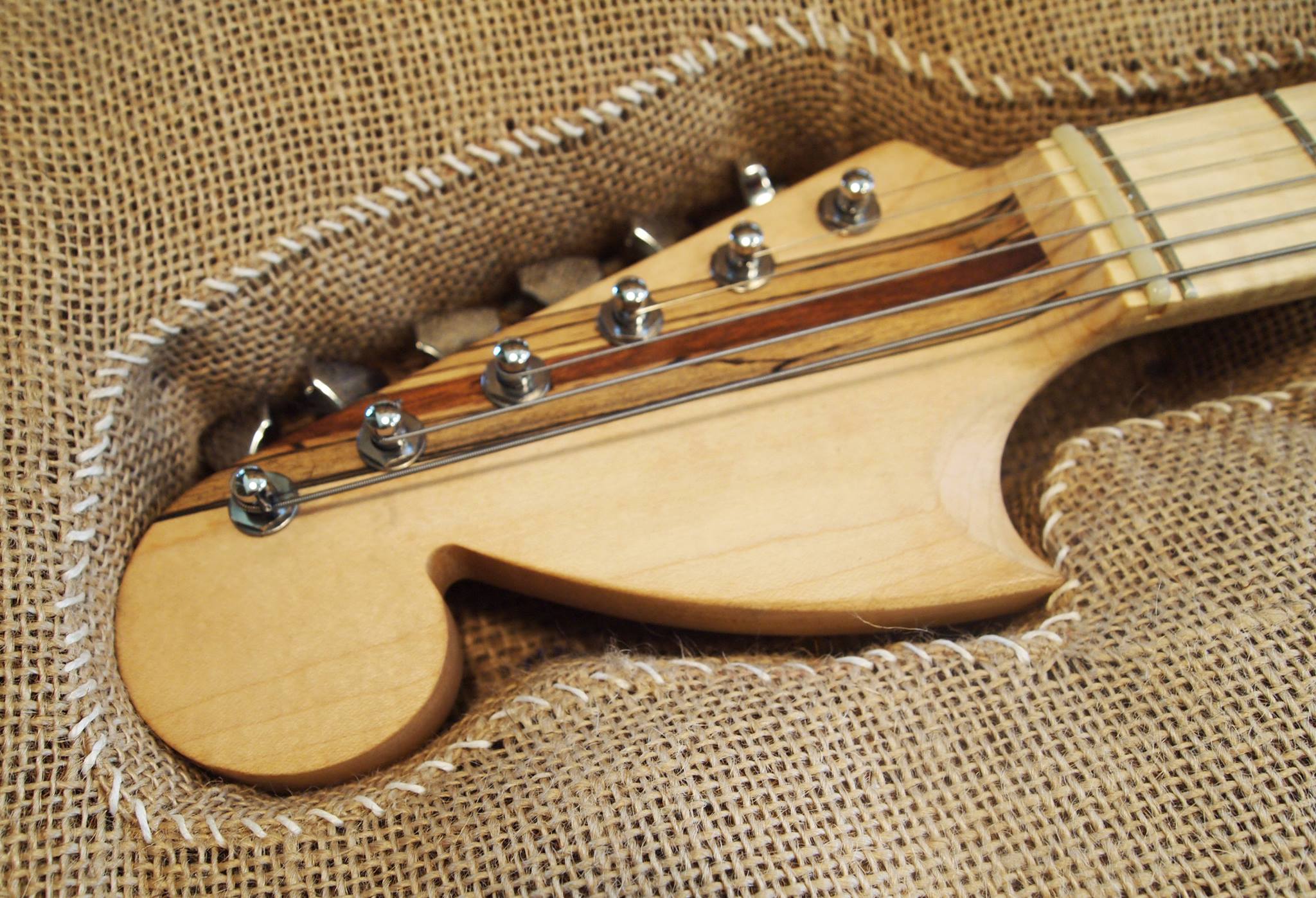 19250828 1389616591116355 1032711679095685603 o