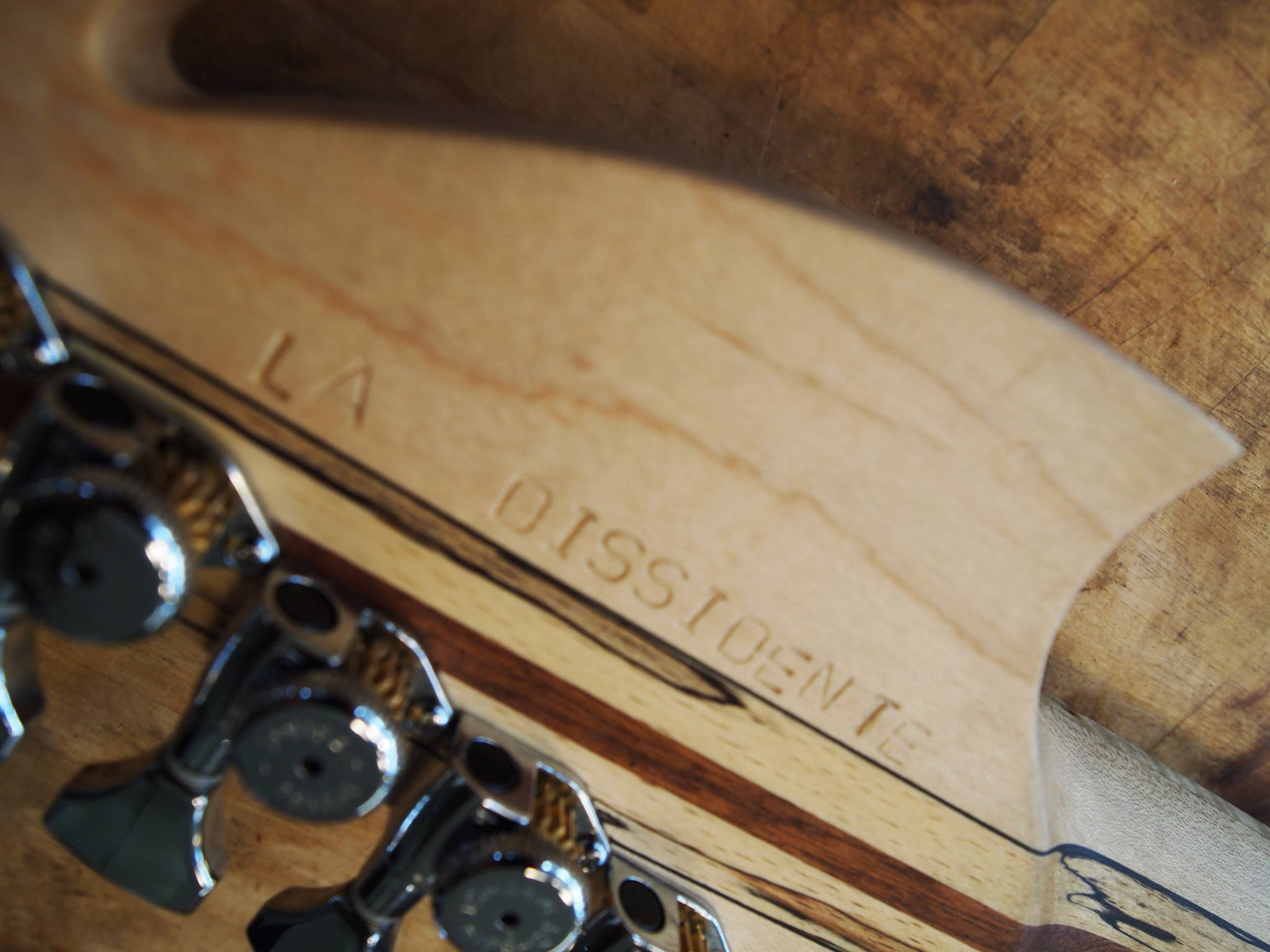 19441905 1393365097408171 2632078957084827099 o