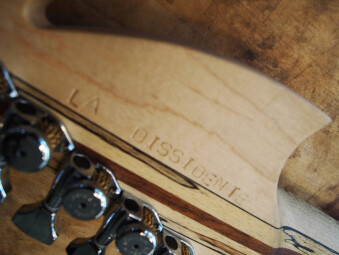 19441905 1393365097408171 2632078957084827099 o 19441905 1393365097408171 2632078957084827099 o