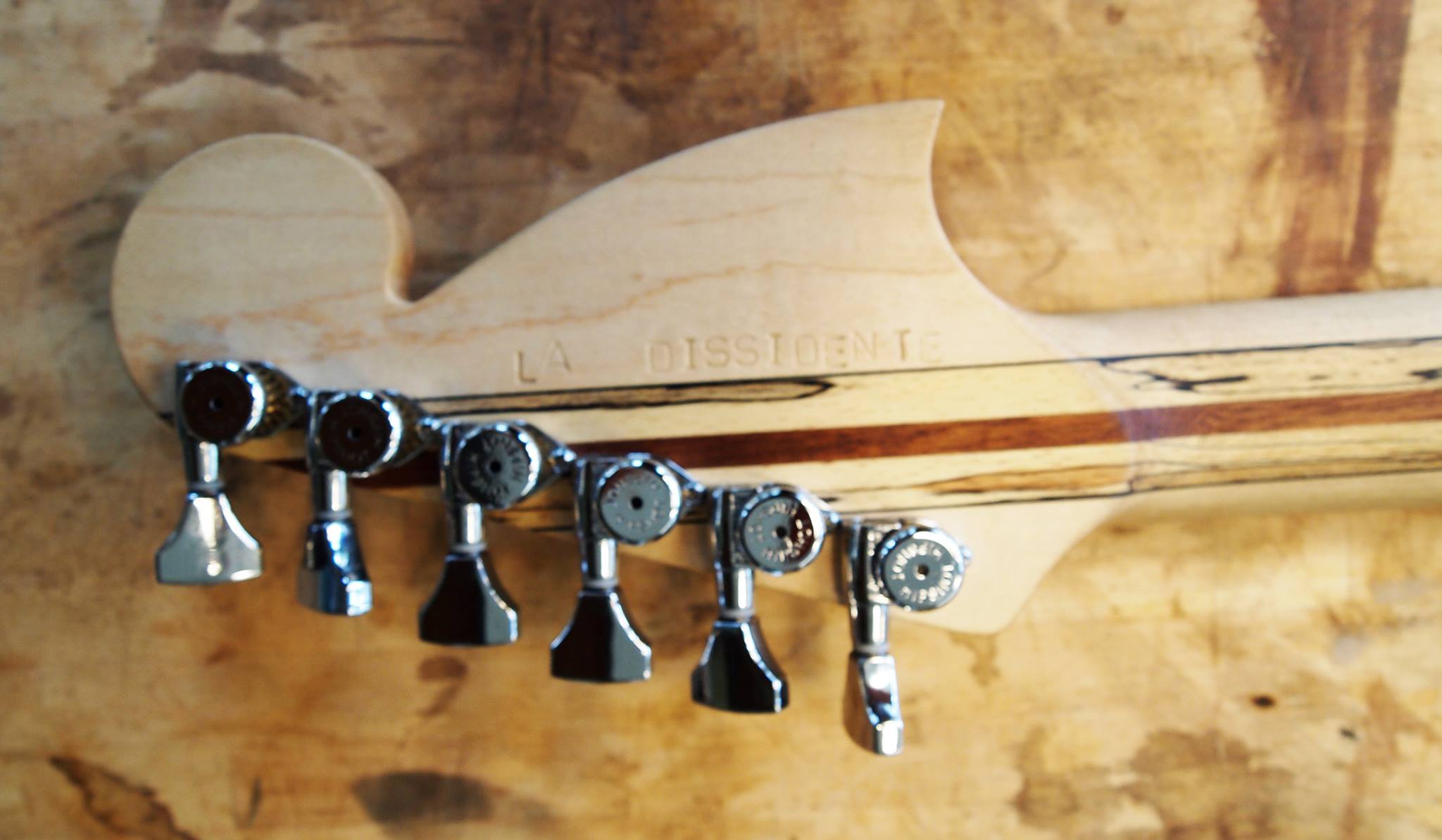 19402123 1393365057408175 4671193146781949468 o