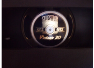 Traynor YCV50B Custom Valve - 50w 1x12''