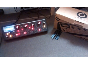 Moog Music SlimPhatty (41375)
