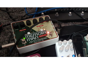 Electro-Harmonix Deluxe Memory Man 550-TT (10740)